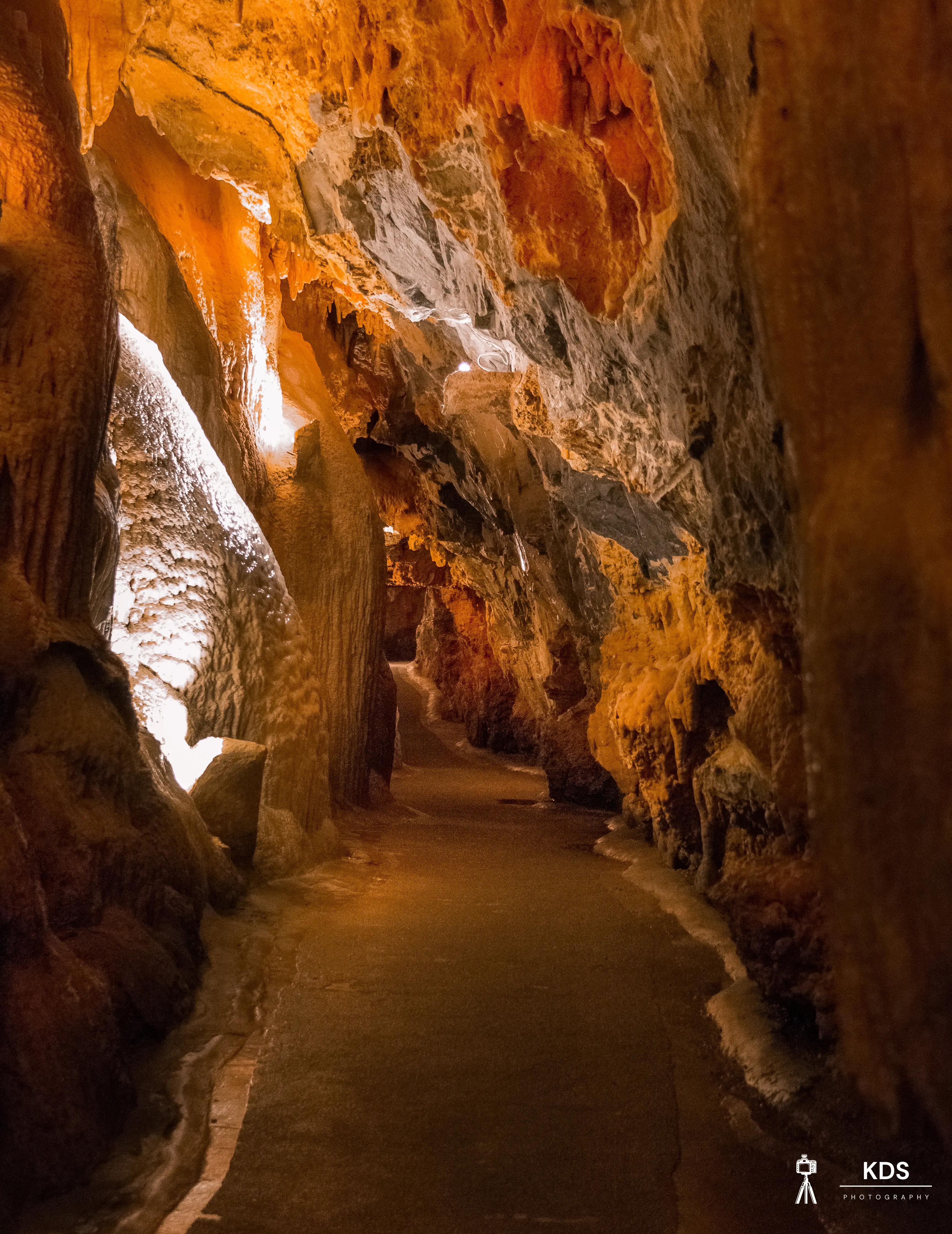 A World Beneath the World